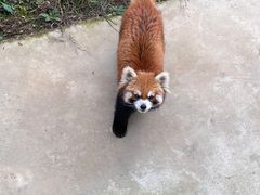 -杭州野生动物世界