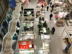 -佬肥猫(国华广场店)