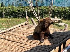 -济南野生动物世界