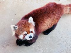 -杭州野生动物世界