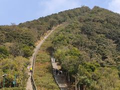 -梧桐山风景名胜区