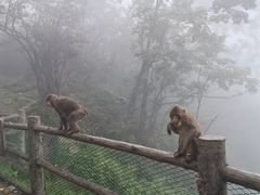 -峨眉山风景名胜区