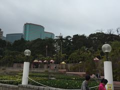 -九龙公园
