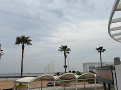 -碧海金沙
