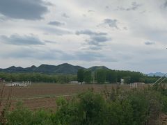 -北京东方普罗旺斯薰衣草庄园