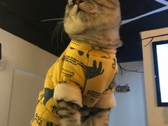 -Doors独立剧情密室(东门分店)