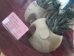 -南山植物园