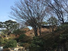 -新罗免税店(首尔总店)