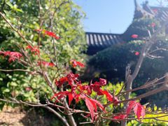 -武汉园博园(武汉自然博物馆)