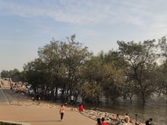 -宝安西湾红树林湿地公园