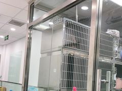 -宠福鑫康馨动物医院·骨科·眼科