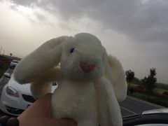 -陕西省红河谷森林公园