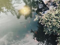 -十二厨·土菜雅院