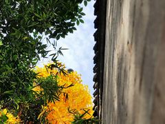 -西安市广仁寺