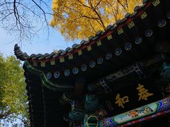 -西宁市人民公园(城西区)