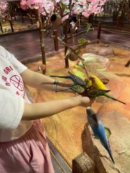 -酷嗒动物文化乐园(cutezoo西溪乐天城店)