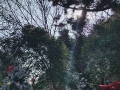 -蒋氏故居