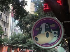 -一只酸奶牛(八一路店)
