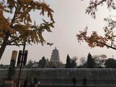 -大雁塔北广场音乐喷泉