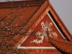 -开福禅寺