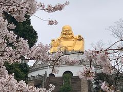 -苏州上方山国家森林公园