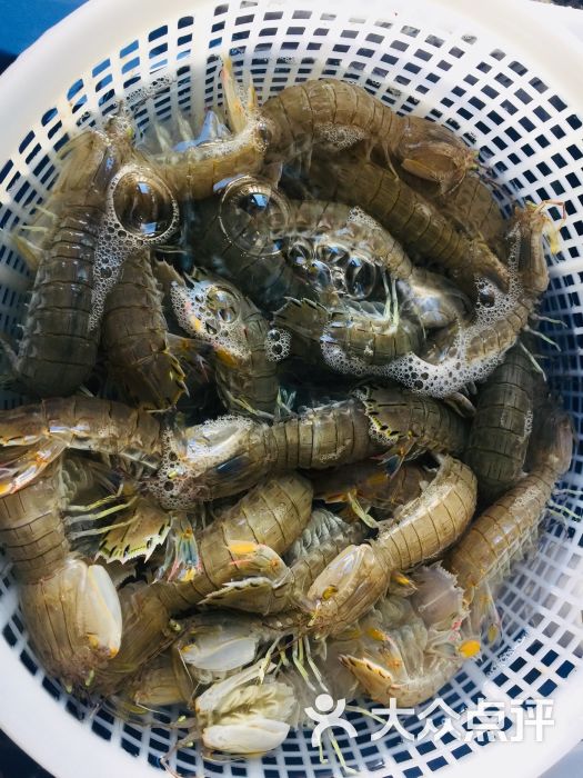 水货图片 - 第3张