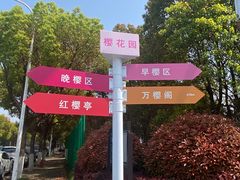 -高东镇樱花园