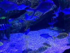 -乌鲁木齐海洋馆