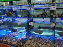 水产区-晶渔坊·海鲜私房菜(东夷小镇店)