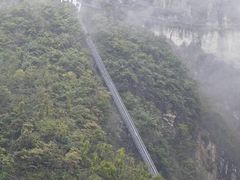-鹿院坪生态旅游景区