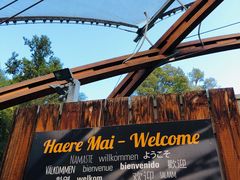 -怀托摩萤火虫洞