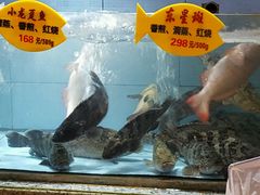 -快乐海鲜城(虎泉街店)