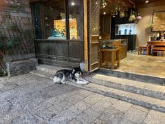 门面-勺子米线·云南传统小吃市集(四方街店)