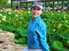 -莲花池公园