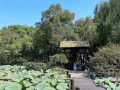 -兰亭风景区