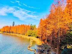 -长广溪湿地公园