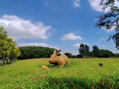 -嘉北郊野公园