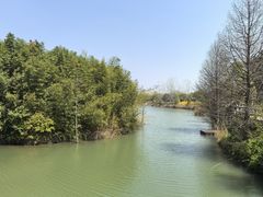 -泗洪洪泽湖湿地景区
