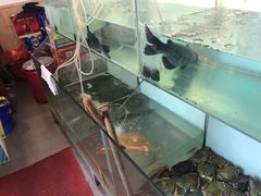 -小小河边鱼·黄辣丁鲜鱼锅(黎阳店)