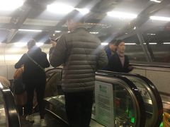 -大龙山(地铁站)