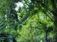 -百林公园-两江幸福广场