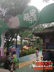 -萌宠亲子动物乐园(槐房万达店)