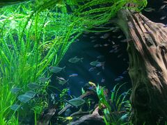 -上海海洋水族馆