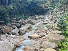 -姑婆山旅游区