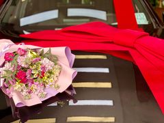 -奔驰利星行(北京花乡店)