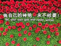 -宝生月子中心(民治店)