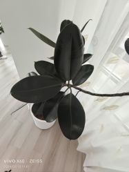 -HEYAN荷妍专业脱毛连锁机构