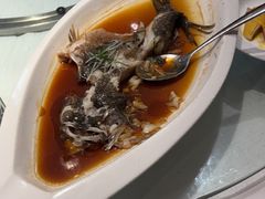 -席家花园(巨鹿花园店)