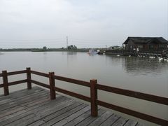 -宁波杭州湾国家湿地公园