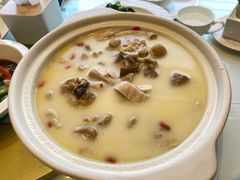 猪肚鸡-老广酒楼(樱花店)